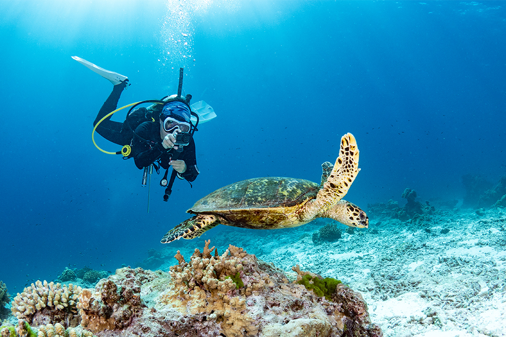 Diver over a reef, Tanzania